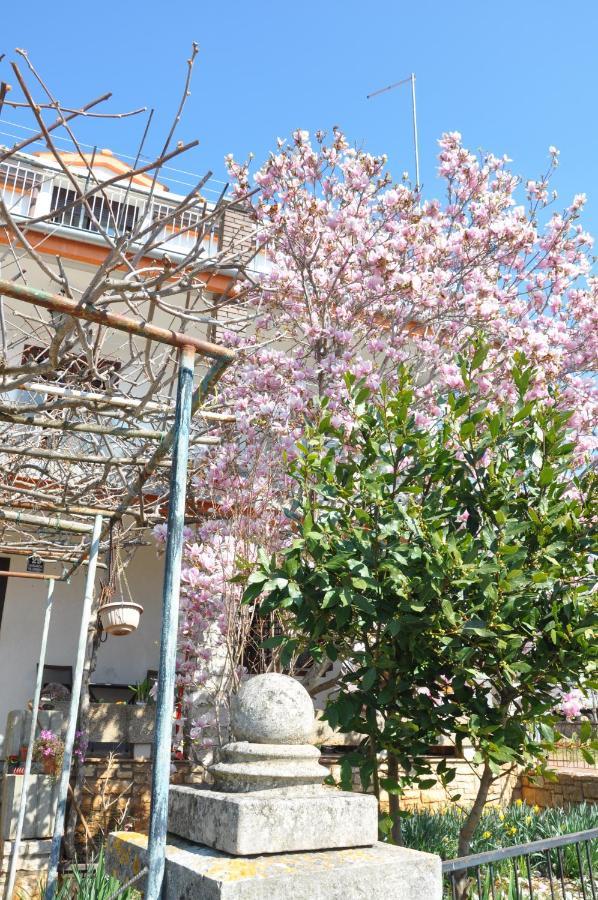 Apartman Mirna Rovinj Exterior photo