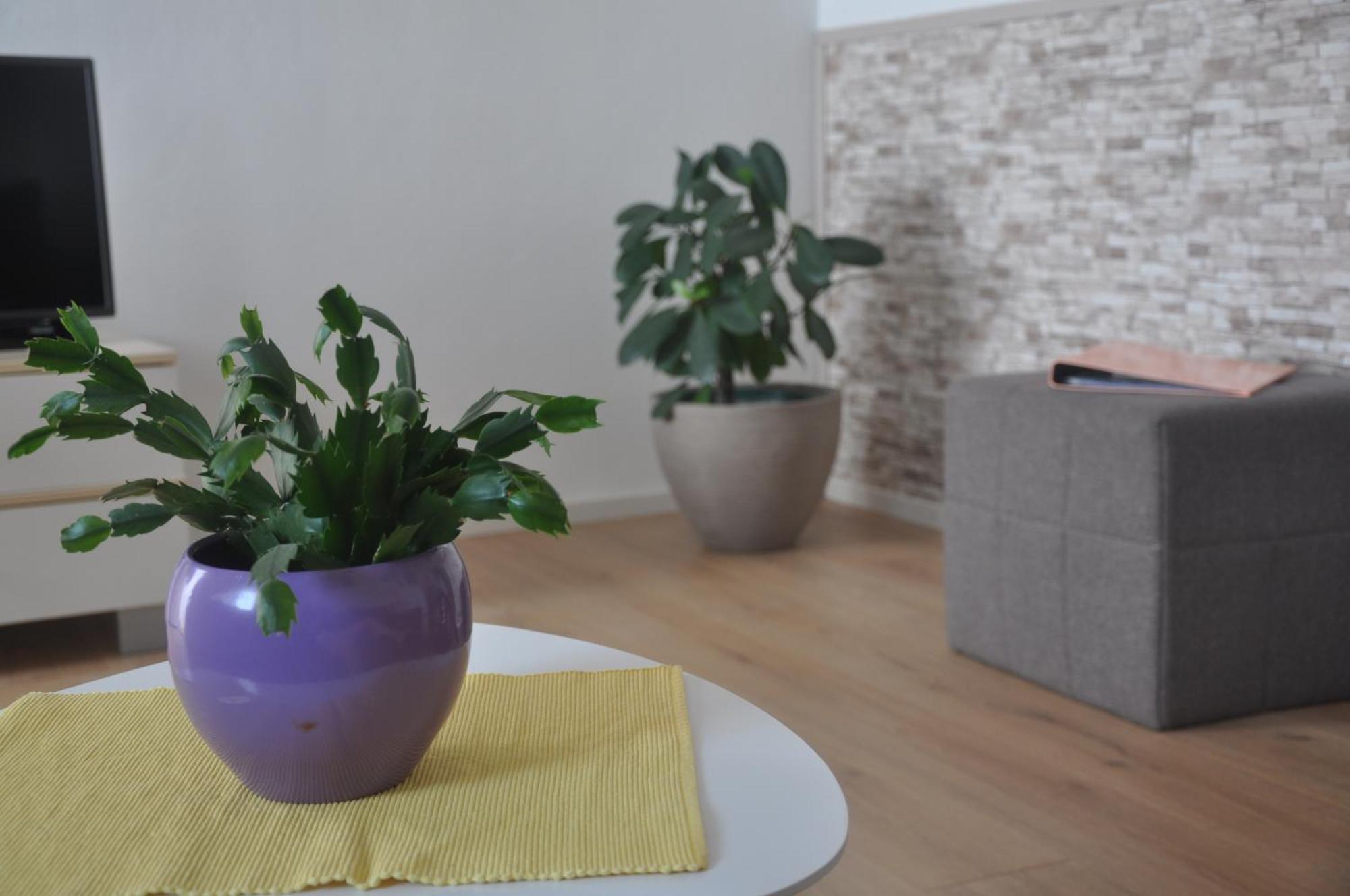 Apartman Mirna Rovinj Exterior photo